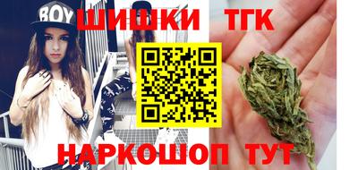 индика Гай