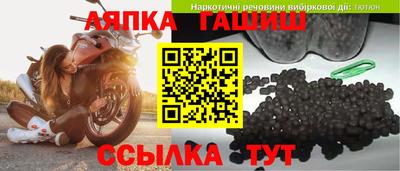 индика Гай