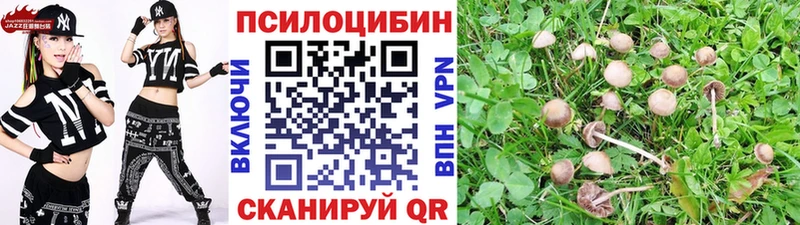 Псилоцибиновые грибы Psilocybe Луховицы